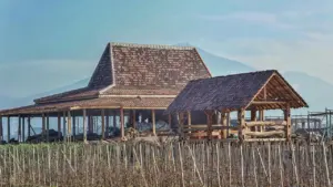 sustainable building materials for homes
